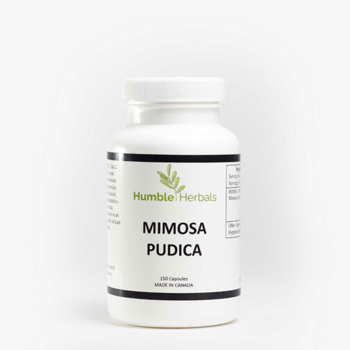 Humble Herbals - Mimosa Pudica