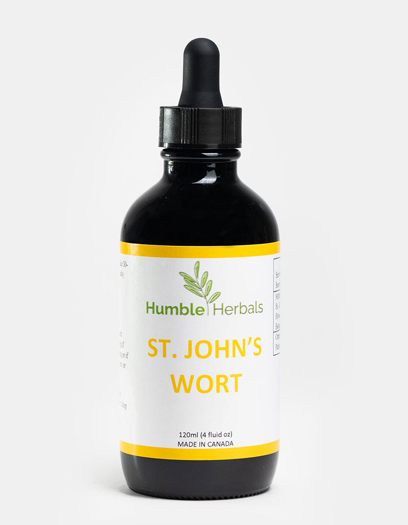 Humble Herbals - St. John's Wort