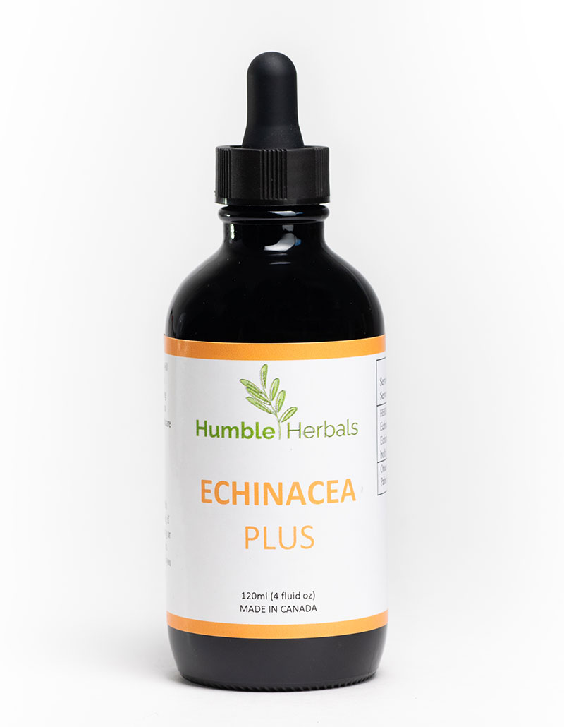 Humble Herbals - Echinacea Plus