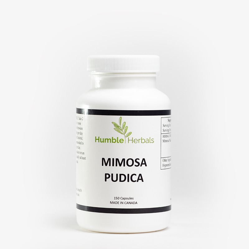 Humble Herbals - Mimosa Pudica