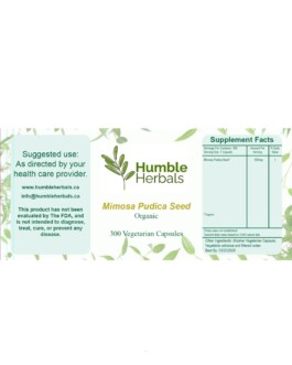 Mimosa Pudica