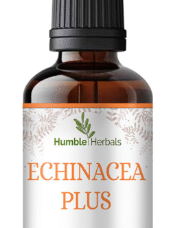 Echinacea Plus